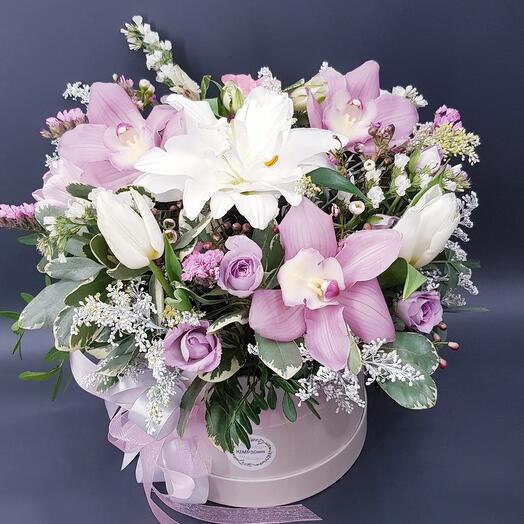 Composition of orchids Let s never quarrel