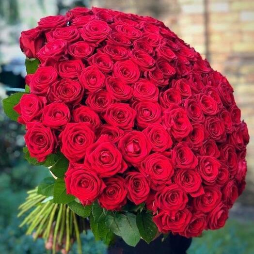 Sevgi 101 Qızılgül