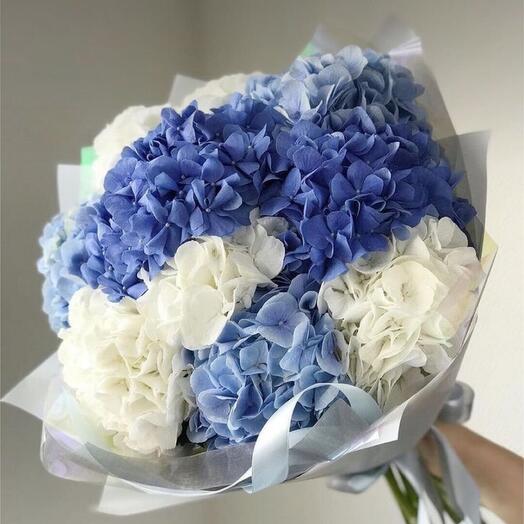 Mix di ortensie bianche e blu