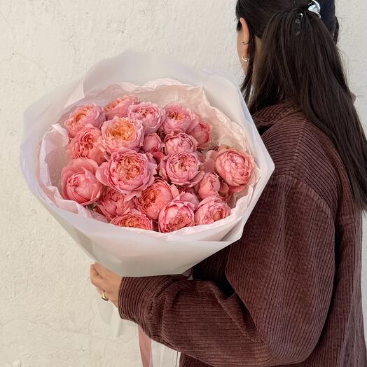 Peony pink rose Juliet