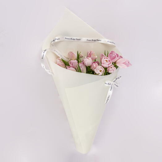 Sweet Tulip Serenity