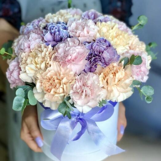 Luxe Bloom — 25 Pastel Dianthus in a Gift Box