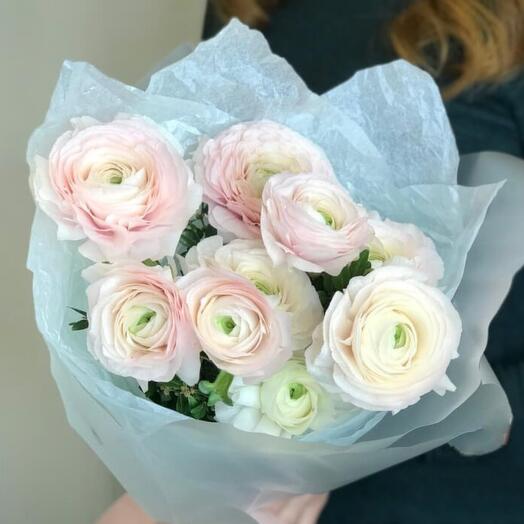 Hanoi Blush — 9 Ranunculus