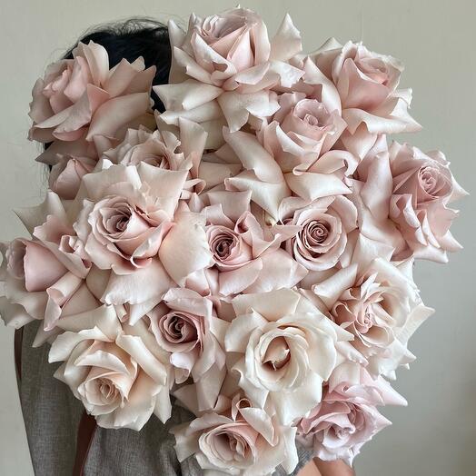 31 premium franch roses