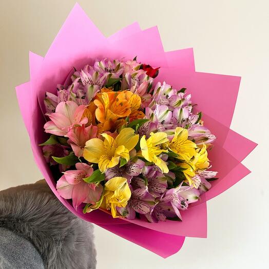 Puokstė Alstromerija