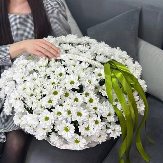 Корзина с хризантем ромашковой