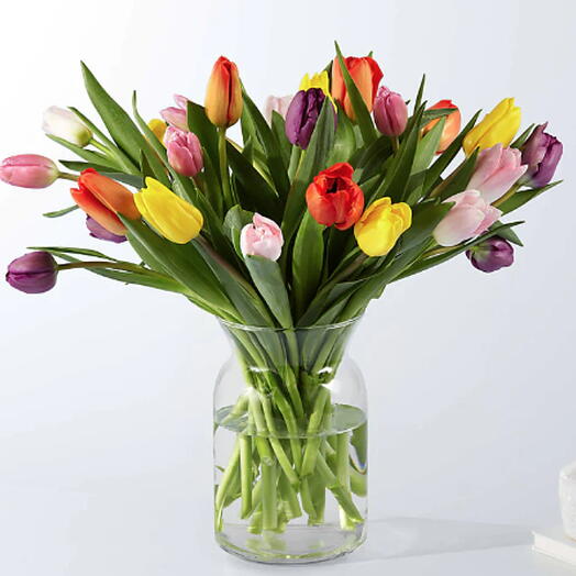 Picnic Tulips (mixed)