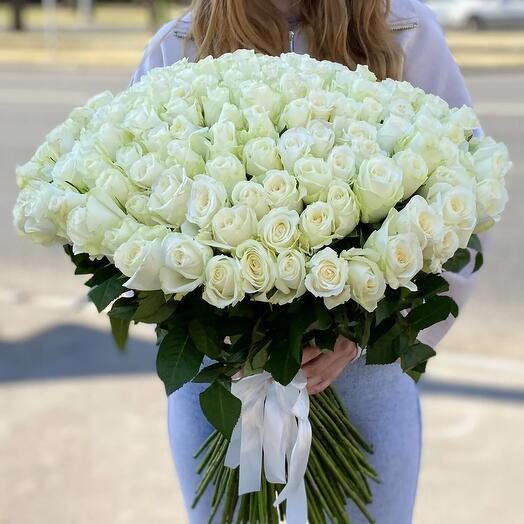 101 trandafiri albi 70 cm