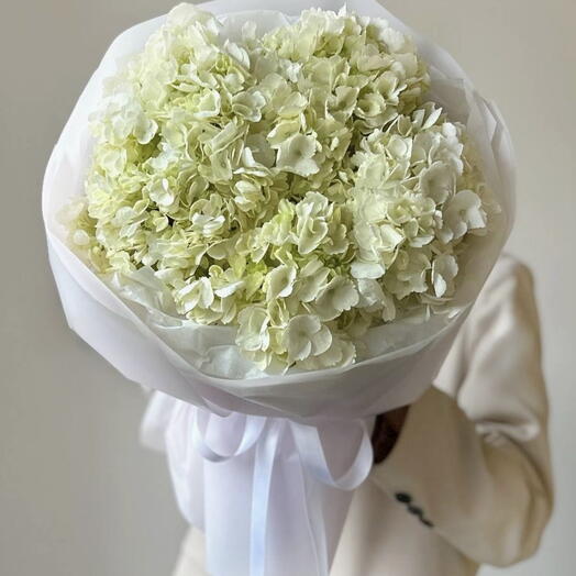 МОНОБУКЕТ ИЗ 5 ГОРТЕНЗИЙ