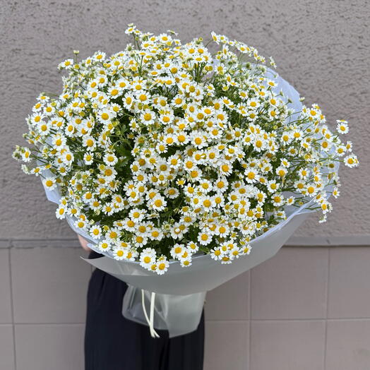 Chamomile bouquet in size M