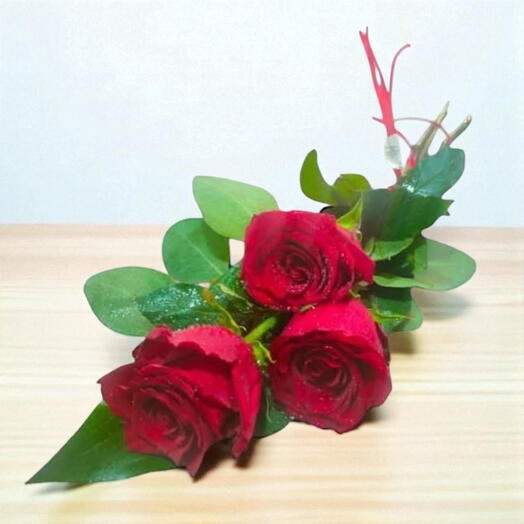 Três Razões Para Amar