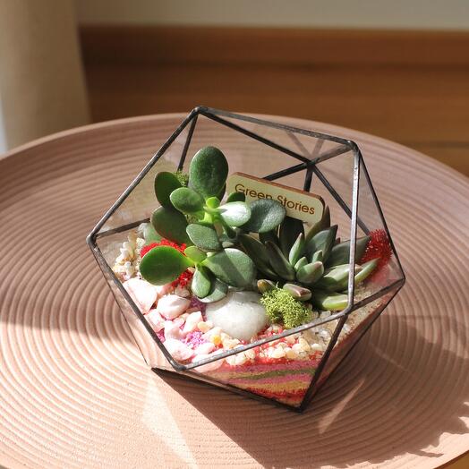 Elegant Glass Terrarium with Succulents – Handcrafted Botanical Art