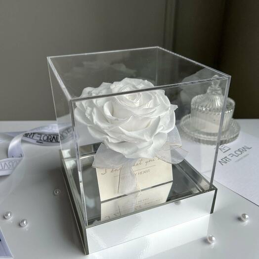Weisse Infinity Herz-Rose im Acrylwurfel