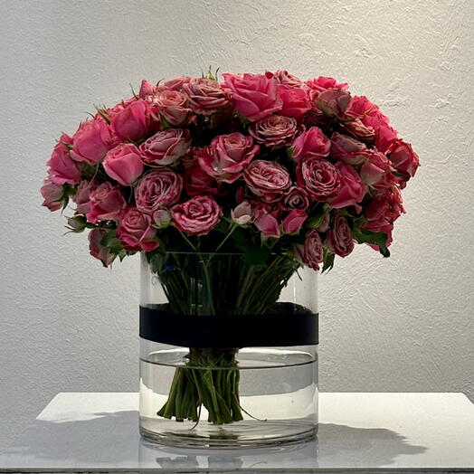 فازة بيبي سنس