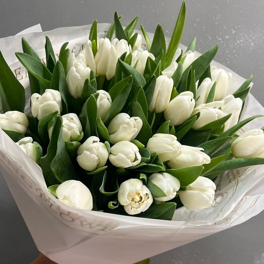 31 white tulips