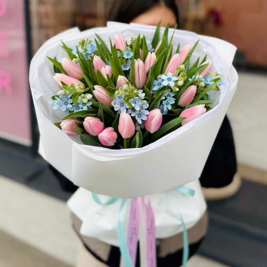 Tulipani rosa 21pz con oxypetalum