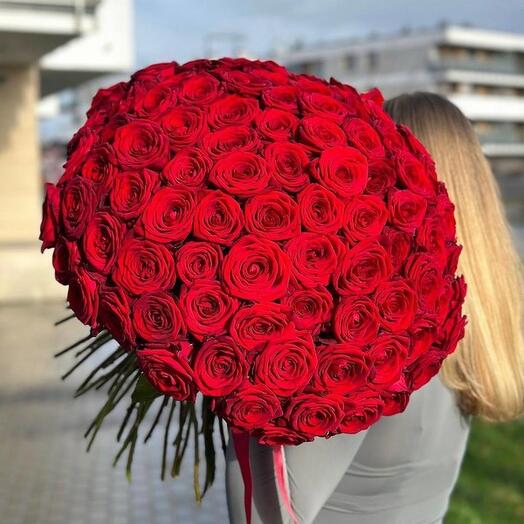 101 rose rosse