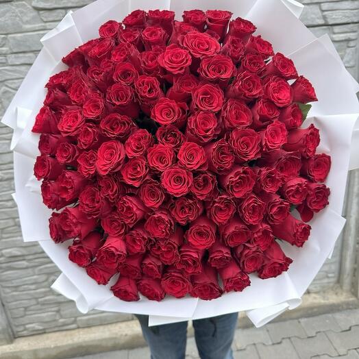 101 red roses 100 cm