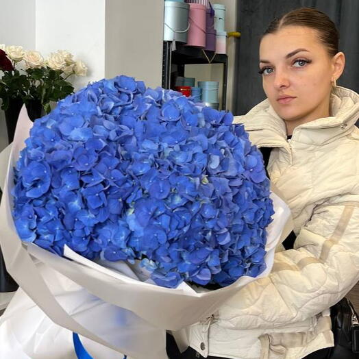 Bukiet - Hortensii niebieski