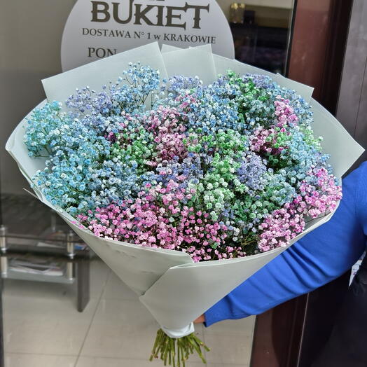 Ramo de gipsofila colorida