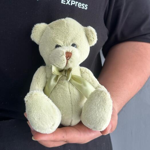 Teddy bear green 15 cm