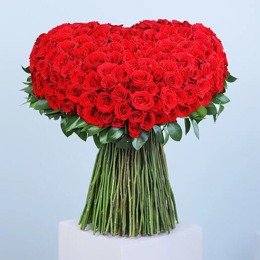 Red  Rose  Extravaganza