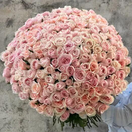 Bouquet Miss Ohara of 201 pink roses! Win Her heart at first sight :)