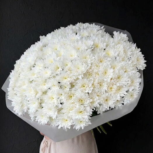 🤍 45 chrysanthèmes / 45 tiges de chrysanthème