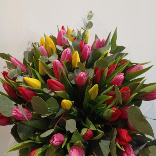 „Tulip Color Harmony