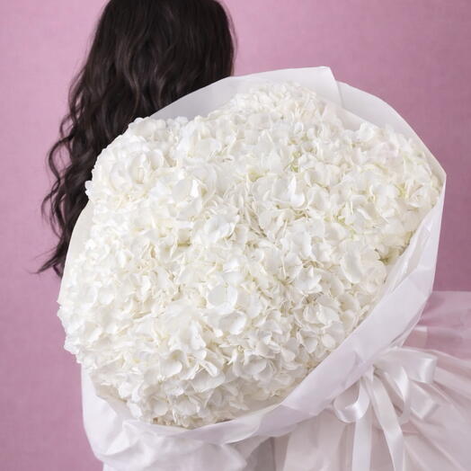 Bouquet of 13 hydrangeas