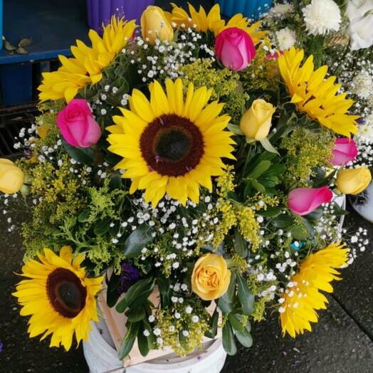 Girasoles rosas mezcladas