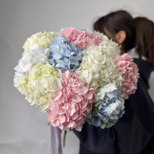 Букет из 11 разноцветных колумбийских гортензий