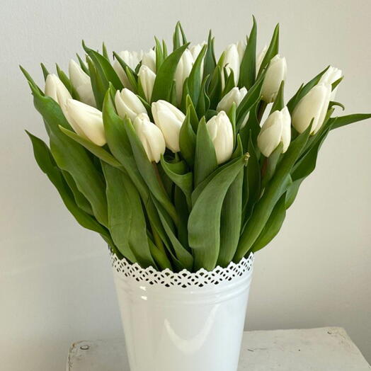 Sorriso 25 tulipani bianchi in vaso