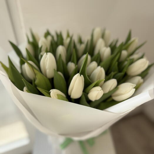 50 white tulips