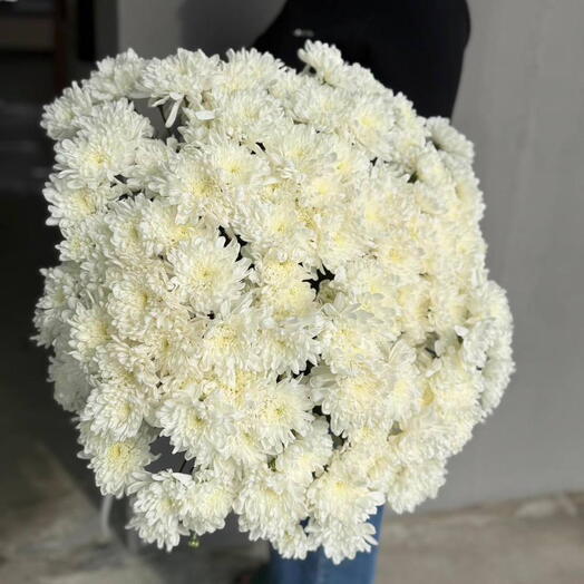 Tenderness of the clouds