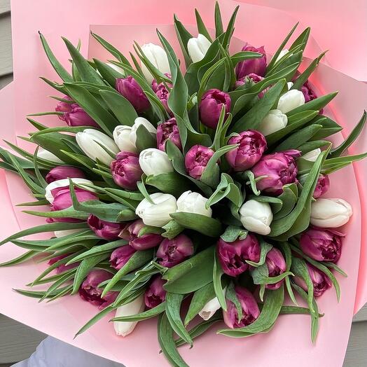 50 Premium tulips