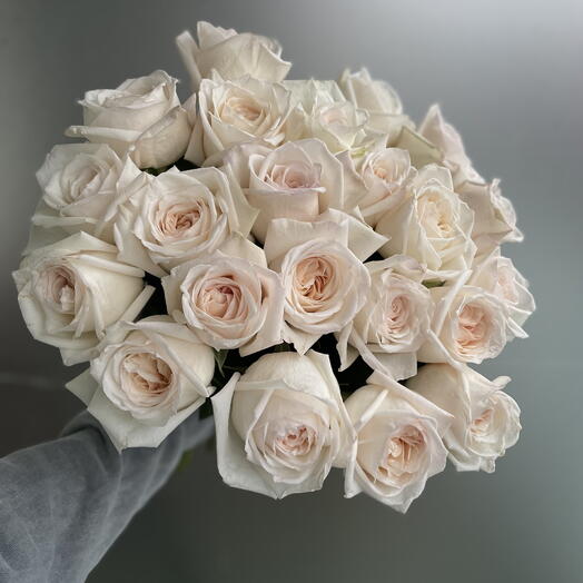 Тәтті О Хара Арманы