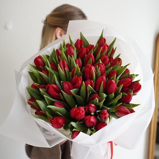 Red tulipas xl