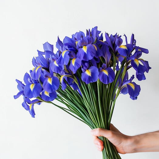 Bouquet of iris