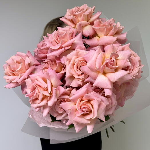 21 Hermosa French roses