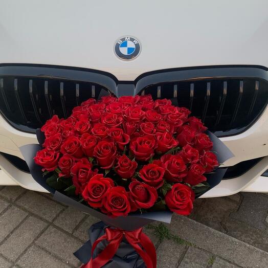 51 rote Victory Holland Premium-Rosen