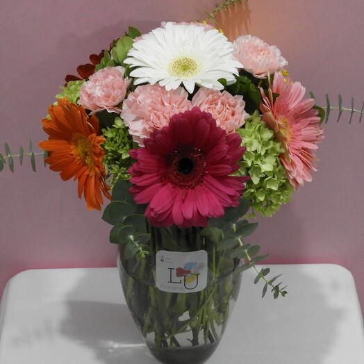 Gerberas Multicolor