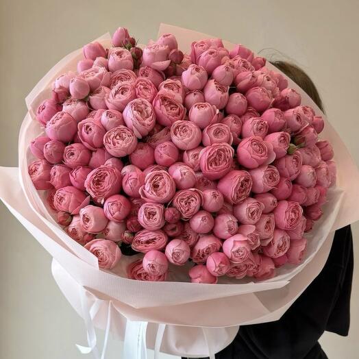 Розы "Silva Pink"