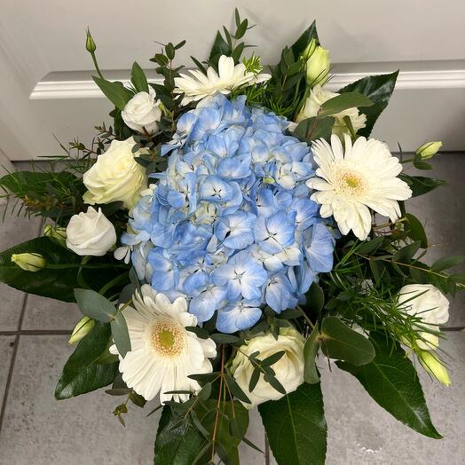 A moment in the summer sky