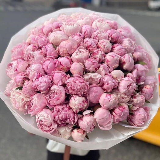 101 peonies