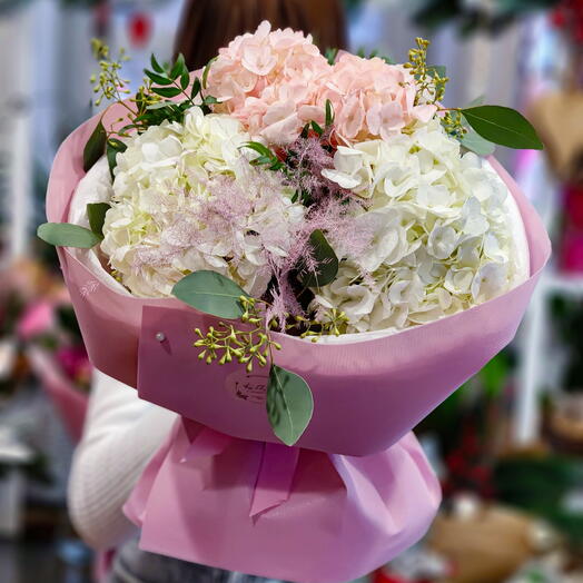 The tenderness of hydrangeas