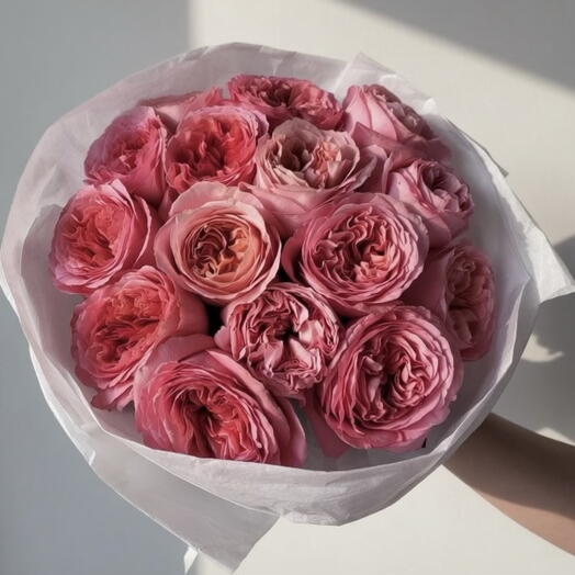 Mono Roses Expression 11