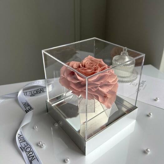 Pinke Infinity Herz-Rose im Acrylwurfel