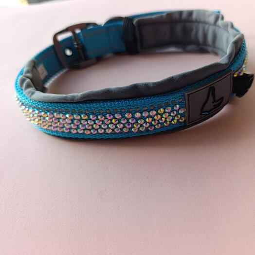 Dog collar, size I