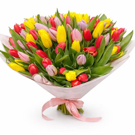 75 tulips mix